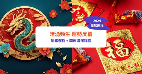 屬豬2024運程|【2024屬豬運程】2024屬豬運程：反覆向上、轉危為機！【開運。